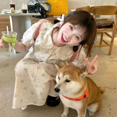 杀手妙管家